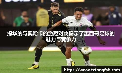 zoty中欧官方网站