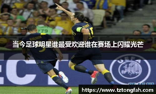 zoty中欧官方网站