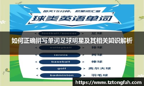 如何正确拼写单词足球明星及其相关知识解析